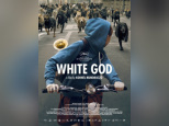 White God : critique et bande-annonce 