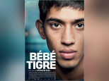 Bébé Tigre : critique et bande-annonce