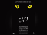 Cats à Mogador : notre critique 