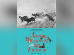 Le Grand Orchestre des animaux, l'expo à la Fondation Cartier