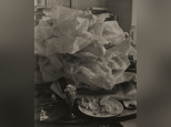 Josef Sudek, l'expo au Jeu de Paume