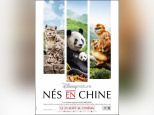 Nés en Chine : gagnez vos places pour l'avant-première ! 