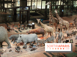 Grande Galerie de l'Evolution - savane