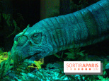 Autour des dinosaures au Palais de la Découverte