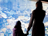 Fête des Mères 2016 : l'Aquarium de Paris organise son brunch