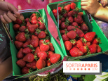 Cueillettes des fraises autour de Paris