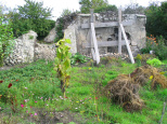 Connaissez-vous l'histoire des murs à pêches ? Voici pourquoi ce site est classé Jardin Remarquable