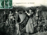 Cette ville aux portes de Paris était autrefois l'un des vignobles les plus prolifiques de la région !