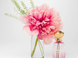 Annick Goutal : Entre Vintage et Avant-Garde
