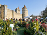 Rendez-vous aux Jardins 2023 : visite guidée et atelier potager au château de Blandy-les-Tours (77)