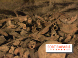 Les Catacombes de Paris
