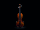 Un violon Guarneri del Gesù, extrêmement rare, exposé chez Artcurial