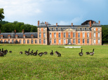 Exposition de Lélia Demoisy au Domaine de Chamarande : Récits de Forêts