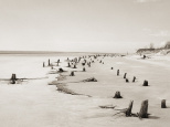 Corps littoral : l'exposition de Camille Guichard à la galerie Rachel Hardouin