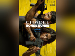 Citadel : Honey Bunny – La nouvelle série d'action indienne sur Prime Video
