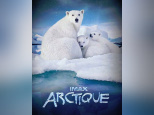 arctique