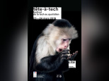 Tête à tech, festival de la tech au quotidien à la Cité des Sciences