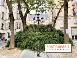 Paris : une première "forêt urbaine" va voir le jour à Montparnasse avant 2024