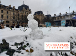 La Neige à Paris - fotor 1767798927974