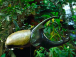 Exposition de sculptures aux Grandes Serres du Jardin des Plantes