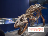Un T-Rex à Paris : les photos