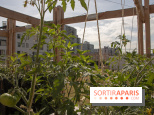 Sous les Fraises & So Ouest inaugurent la première ferme maraichère urbaine à Levallois-Perret : les photos