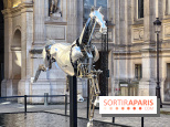 JO Paris 2024: Zeus, le cheval métallique de la cérémonie d'ouverture exposé à l'Hôtel de Ville