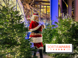 Noël 2024 à la tour Eiffel : terrasse d'hiver, délices de fêtes & Père-Noël au 1er étage du monument