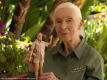 Barbie Jane : la nouvelle poupée activiste inspirée de l'éminente primatologue Dr Jane Goodal