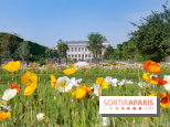 Visuel jardin des plantes Paris