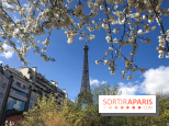 Visuel Paris, Tour Eiffel printemps