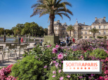 Visuel Paris jardin du luxembourg