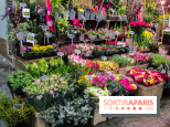 Visuel Paris marché d'Aligre fleurs