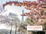 Visuel Paris Tour Eiffel cerisiers en fleurs