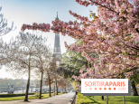 Visuel Paris Tour Eiffel cerisiers en fleurs