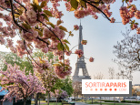 Visuel Paris Tour Eiffel cerisiers en fleurs