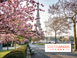 Visuel Paris Tour Eiffel cerisiers en fleurs