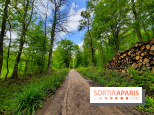 Visuel Paris balade forêt île de france