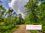 Visuel Paris balade forêt île de france
