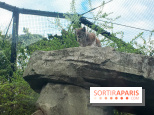 Parc Zoologique de Paris 2019