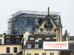 Notre Dame de Paris, les photos des dégâts