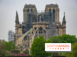 Notre Dame de Paris, les photos des dégâts