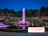 Les Grandes Eaux Nocturnes du Château de Versailles, les photos