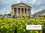Une Jonquille pour Curie au Panthéon
