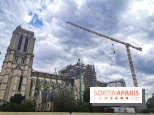 Notre Dame, démontage de l'échafaudage endommagé 
