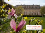 Cerisiers en fleurs à paris et aux alentours - Palais Royal