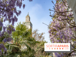 La Mosquée de Paris et son jardin en fleurs