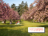 Le Parc de Sceaux et ses cerisiers en fleurs