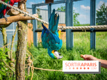 Parrot World, le parc animalier immersif d'Île-de-France