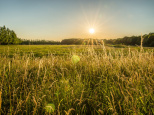 Journées nationales de l'Agriculture 2026 : balade sur la biodiversité à travers les champs